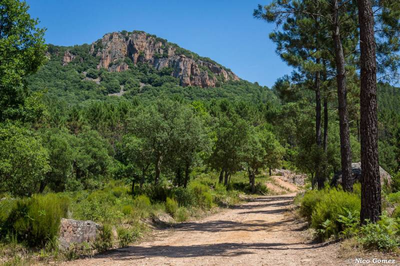 gorge du Blavet autour de Bagnols en Foret 
